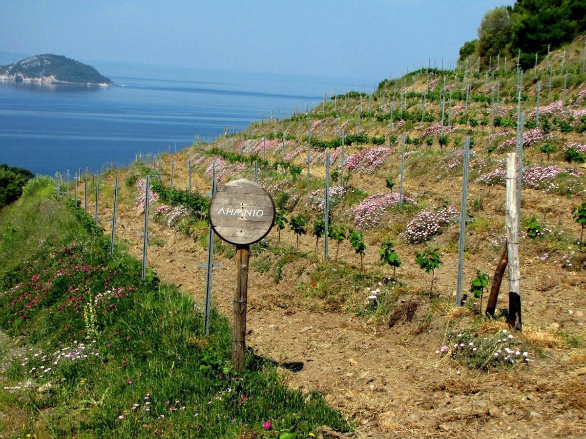 Porto Carras Meliton Hotel Neos Marmaras Exterior foto A vineyard in Elba
